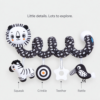 Black & White Spiral Toy