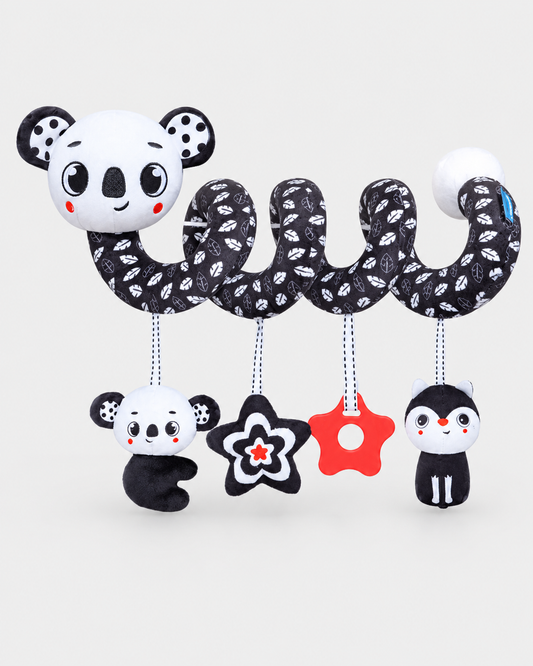 Black & White Spiral Toy