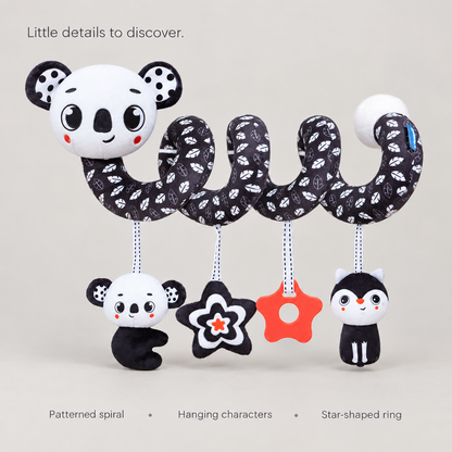 Black & White Spiral Toy